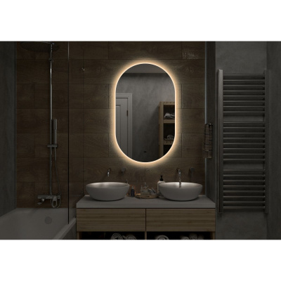 Зеркало Fleur LED 700х1200 с бесконтактным сенсором, холодная подсветка ЗЛП628