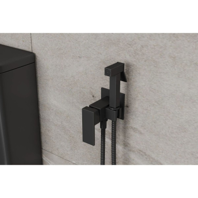 Смеситель c гигиеническим душем встраиваемый RUSH Thira TR3635-99Black