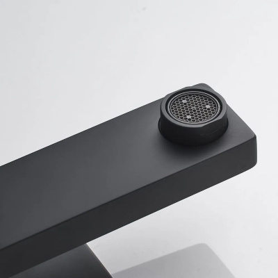 Смеситель для раковины Shevanik S9601H черный