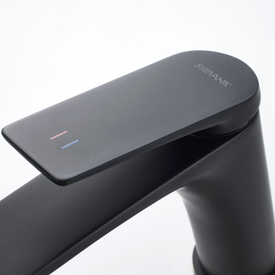 Смеситель для раковины Shevanik S9101H черный