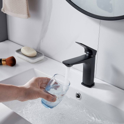 Смеситель для раковины Shevanik S4201H черный, Коллекция S42, , Shevanik