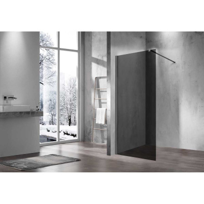 Душевая перегородка Walk-In VSW-1H100CGGM, 1000*2000, вороненая сталь, стекло тонированное