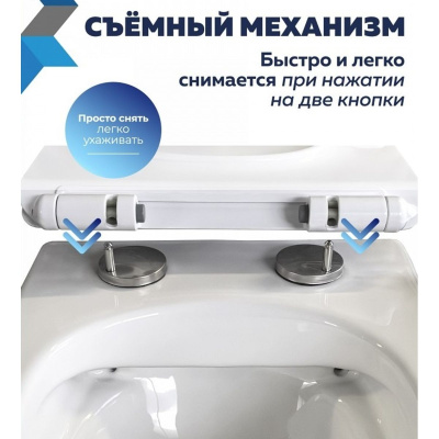 Сиденье для унитаза Watersense Rita Strike W01844 дюропласт, с микролифтом, быстросъем, универсальное