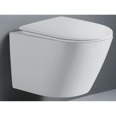 DS147002 Сиденье для унитаза DT1476516 белый