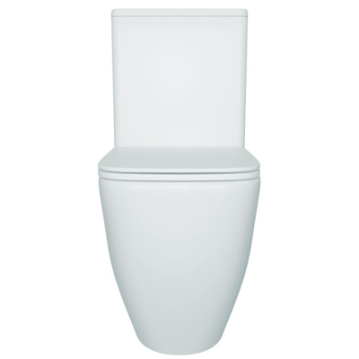 Унитаз напольный безободковый торнадо Watersense Mandy Vortex W01855 микролифт 61,5х36,5х80 см