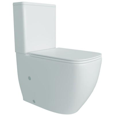 Унитаз напольный безободковый торнадо Watersense Mandy Vortex W01855 микролифт 61,5х36,5х80 см