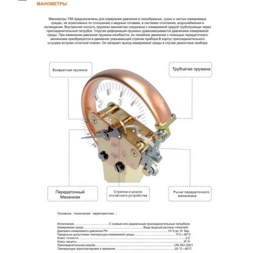 Манометр аксиалыный TIM Y-50T-16 1/4