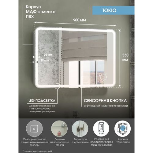 Зеркало-шкаф Tokio Big LED 900х600 с розеткой МВК060