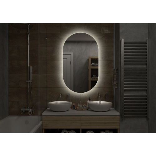 Зеркало Fleur LED 650 х 1100 с бесконтактным сенсором холодная подсветка ЗЛП595
