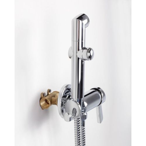 Смеситель для биде DK Rhein Schiller DA1464501 хром, с гигиенической лейкой, встраиваемый