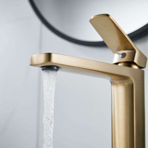 Смеситель для раковины Shevanik S9911G золото матовое