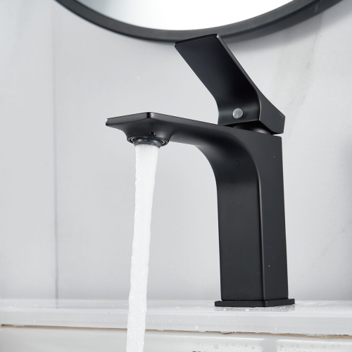 Смеситель для раковины Shevanik S6101H черный