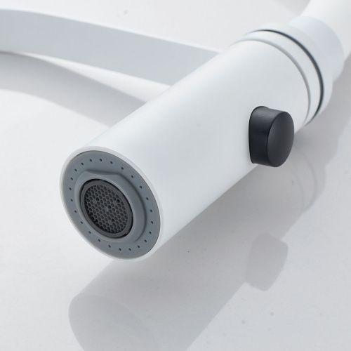 Смеситель для кухни Shevanik S943C-1 белый