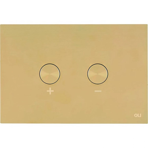 Кнопка пневматическая двойная BLINK сталь, золото, антиванд.  OLI 883246