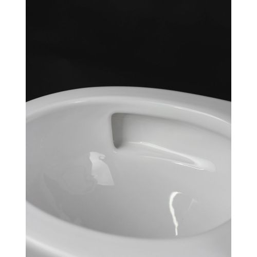 Унитаз подвесной (Торнадо) Knois KN9722003, с крышкой Soft-close 530х360х360