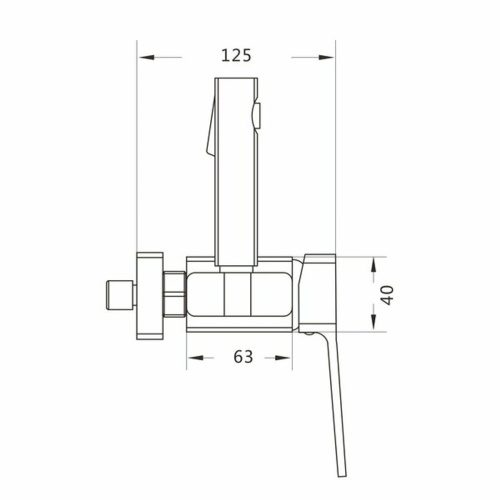 Гигиенический душ Shevanik S9905G-1 матовое золото (8)