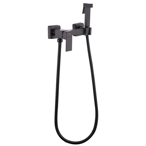 Смеситель для биде FASHUN A7504-17, с гигиеническим душем, SUS304, оружейная сталь (10)