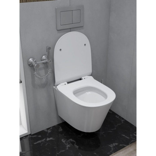 Унитаз подвесной безободковый торнадо Watersense Rita Pro Vortex W00751 52х32х35,5 см микролифт