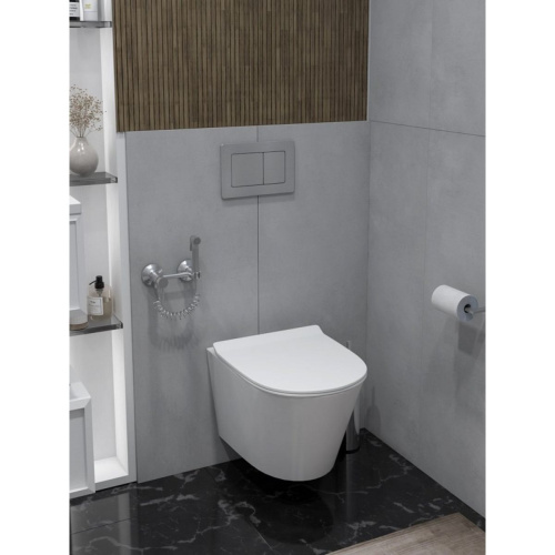 Унитаз подвесной безободковый торнадо Watersense Rita Pro Vortex W00751 52х32х35,5 см микролифт