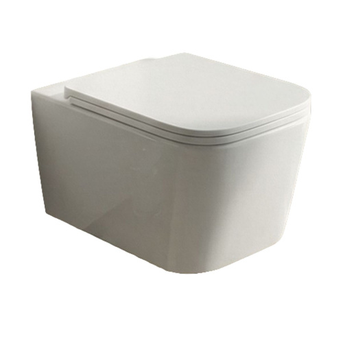 Унитаз подвесной безободковый торнадо Watersense Eva Vortex W01831 49х34х35 см микролифт