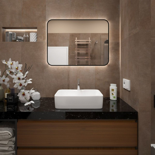 Раковина накладная Watersense Eva S 48 W00002 480х370х130 мм с полочкой под смеситель, белая