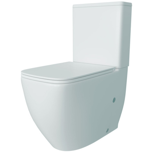 Унитаз напольный безободковый торнадо Watersense Mandy Vortex W01855 микролифт 61,5х36,5х80 см