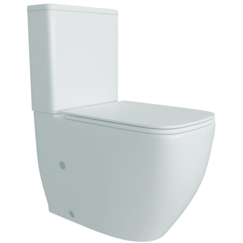 Унитаз напольный безободковый торнадо Watersense Mandy Vortex W01855 микролифт 61,5х36,5х80 см