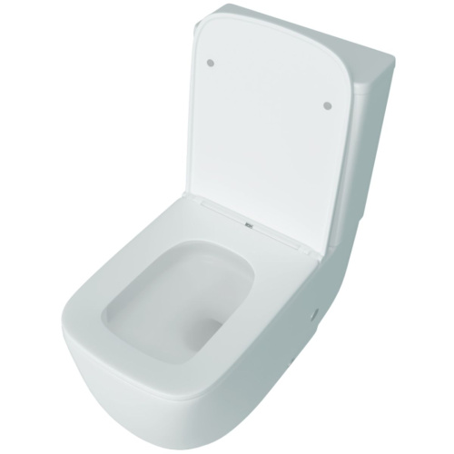 Унитаз напольный безободковый торнадо Watersense Mandy Vortex W01855 микролифт 61,5х36,5х80 см