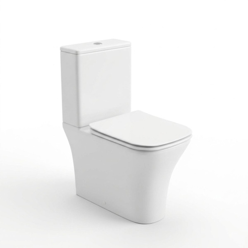 Унитаз напольный безободковый Watersense Eva Pro W00138 микролифт, дюропласт,61,6х37х80,5см