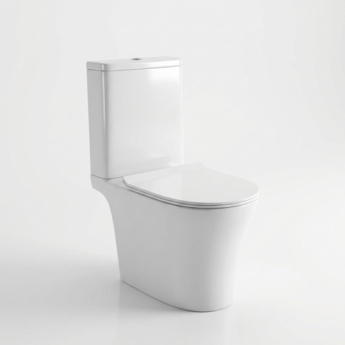 Унитаз напольный безободковый Watersense Belinda Pro W00119 микролифт, сидение ПП, 65х37,5х83см