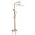 Душевая система Shevanik S4136G  верхний душ, лейка, золотой сатин, Коллекция S41, , Shevanik